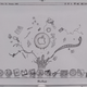 Illustration for article titled Apple Netbook Student Project Is a Pencil-Drawn Beauty